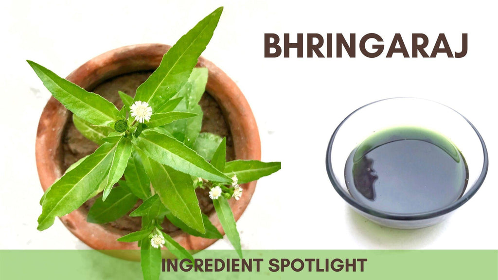 Bhringraj