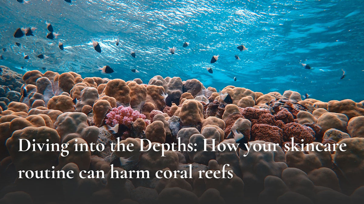 Diving into the Depths: How your skincare routine can harm coral reefs