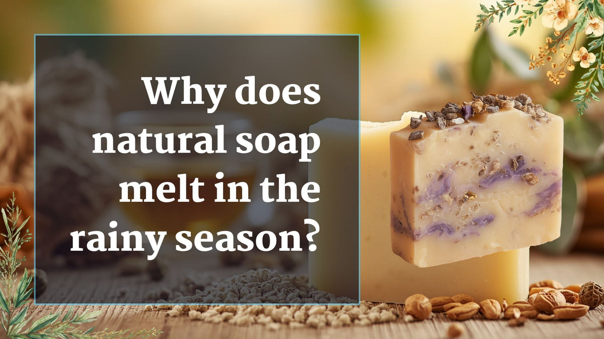 Why does natural soap melt during the rainy season? The truth about cold process soaps