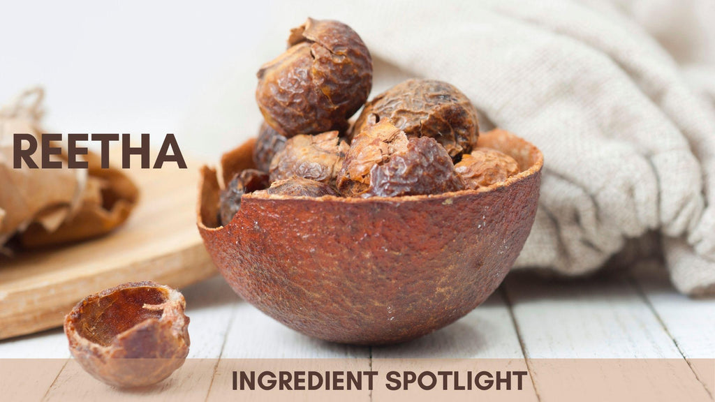 What are Soapnuts?